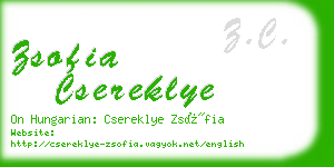 zsofia csereklye business card